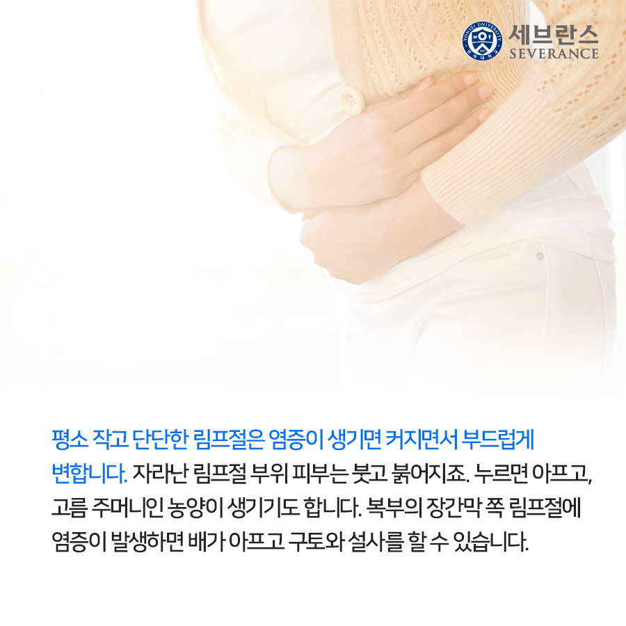평소 작고 단단한 림프절은 염증이 생기면 커지면서 부드럽게 변합니다. 자라난 림프절 부위 피부는 붓고 붉어지죠. 누르면 아프고, 고름 주머니인 농양이 생기기도 합니다. 복부의 장간막 쪽 림프절에 염증이 발생하면 배가 아프고 구토와 설사를 할 수 있습니다.