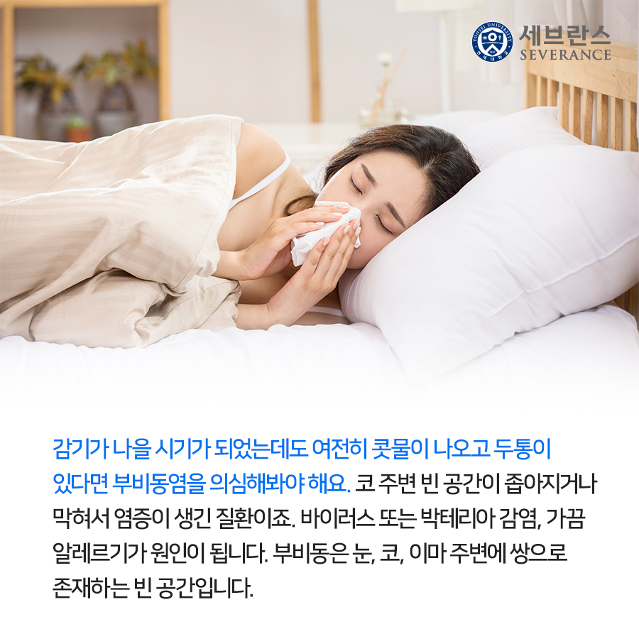 감기가 나을 시기가 되었는데도 여전히 콧물이 나오고 두통이 있다면 부비동염을 의심해봐야 해요. 코 주변 빈 공간이 좁아지거나 막혀서 염증이 생긴 질환이죠. 바이러스 또는 박테리아 감염, 가끔 알레르기가 원인이 됩니다. 부비동은 눈, 코, 이마 주변에 쌍으로 존재하는 빈 공간입니다.