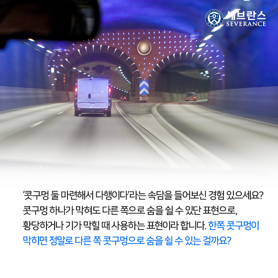 ‘콧구멍 둘 마련해서 다행이다’라는 속담을 들어보신 경험 있으세요? 콧구멍 하나가 막혀도 다른 쪽으로 숨을 쉴 수 있단 표현으로, 황당하거나 기가 막힐 때 사용하는 표현이라 합니다.  한쪽 콧구멍이 막히면 정말로 다른 쪽 콧구멍으로 숨을 쉴 수 있는 걸까요?