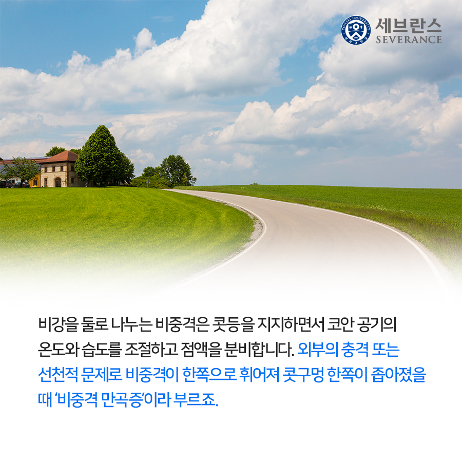 비강을 둘로 나누는 비중격은 콧등을 지지하면서 코안 공기의 온도와 습도를 조절하고 점액을 분비합니다. 외부의 충격 또는 선천적 문제로 비중격이 한쪽으로 휘어져 콧구멍 한쪽이 좁아졌을 때 ‘비중격 만곡증’이라 부르죠.