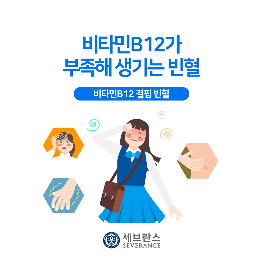 비타민B12가 부족해 생기는 빈혈 - 비타민B12 결핍 빈혈