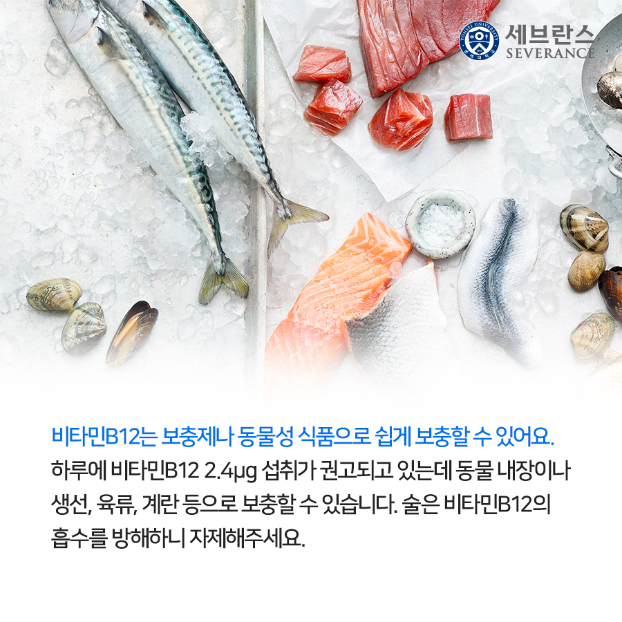 비타민B12는 보충제나 동물성 식품으로 쉽게 보충할 수 있어요. 하루에 비타민B12 2.4μg 섭취가 권고되고 있는데 동물 내장이나 생선, 육류, 계란 등으로 보충할 수 있습니다. 술은 비타민B12의 흡수를 방해하니 자제해주세요.
