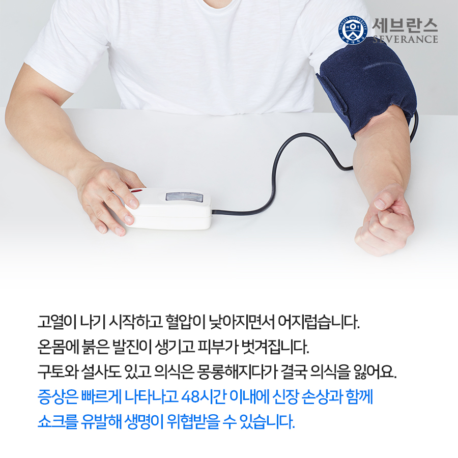 고열이 나기 시작하고 혈압이 낮아지면서 어지럽습니다. 온몸에 붉은 발진이 생기고 피부가 벗겨집니다. 구토와 설사도 있고 의식은 몽롱해지다가 결국 의식을 잃어요. 증상은 빠르게 나타나고 48시간 이내에 신장 손상과 함께 쇼크를 유발해 생명이 위협받을 수 있습니다.