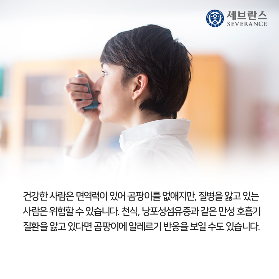 건강한 사람은 면역력이 있어 곰팡이를 없애지만, 질병을 앓고 있는 사람은 위험할 수 있습니다. 천식, 낭포성섬유증과 같은 만성 호흡기 질환을 앓고 있다면 곰팡이에 알레르기 반응을 보일 수도 있습니다. 