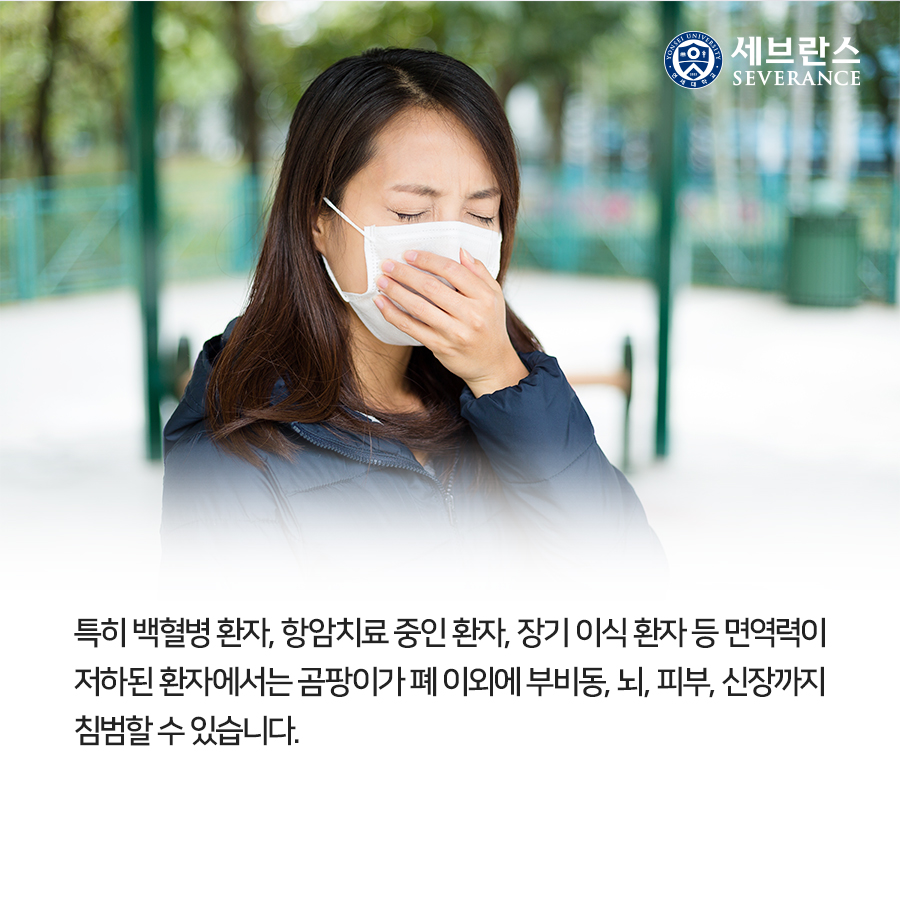 특히 백혈병 환자, 항암치료 중인 환자, 장기 이식 환자 등 면역력이 저하된 환자에서는 곰팡이가 폐 이외에 부비동, 뇌, 피부, 신장까지 침범할 수 있습니다. 