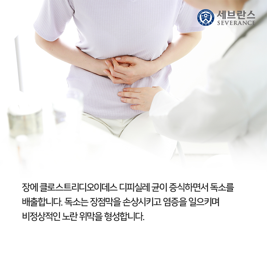 장에 클로스트리디오이데스 디피실레 균이 증식하면서 독소를 배출합니다. 독소는 장점막을 손상시키고 염증을 일으키며 비정상적인 노란 위막을 형성합니다.