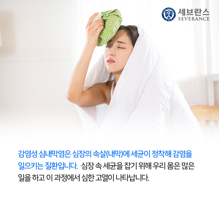 감염성 심내막염은 심장의 속살(내막)에 세균이 정착해 감염을 일으키는 질환입니다. 심장 속 세균을 잡기 위해 우리 몸은 많은 일을 하고 이 과정에서 심한 고열이 나타납니다. 