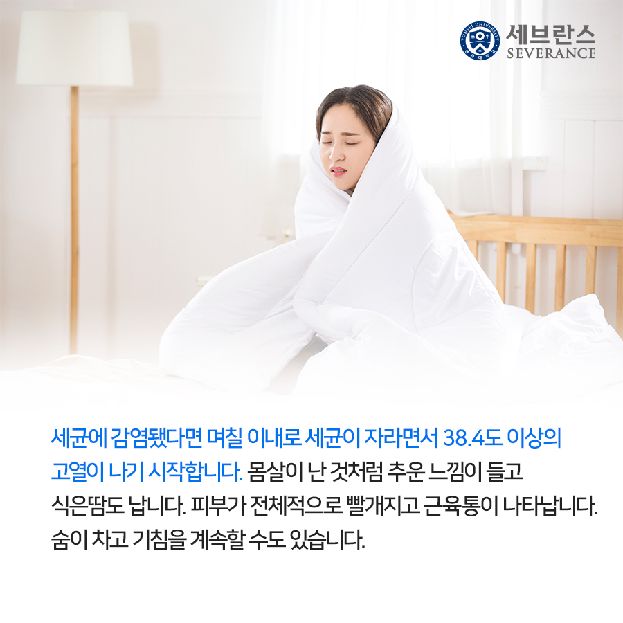 세균에 감염됐다면 며칠 이내로 세균이 자라면서 38.4도 이상의 고열이 나기 시작합니다. 몸살이 난 것처럼 추운 느낌이 들고 식은땀도 납니다. 피부가 전체적으로 빨개지고 근육통이 나타납니다. 숨이 차고 기침을 계속할 수도 있습니다.