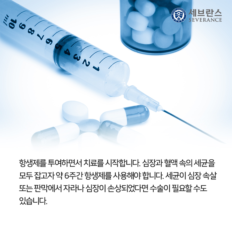 항생제를 투여하면서 치료를 시작합니다. 심장과 혈액 속의 세균을 모두 잡고자 약 6주간 항생제를 사용해야 합니다. 세균이 심장 속살 또는 판막에서 자라나 심장이 손상되었다면 수술이 필요할 수도 있습니다.